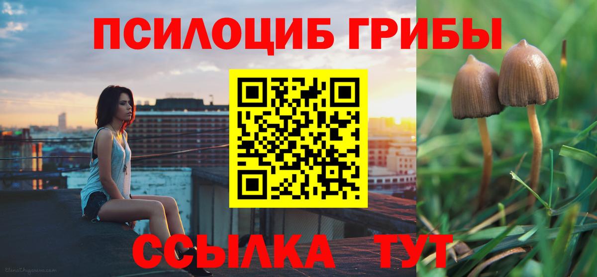 Псилоцибиновые грибы Cubensis Новошахтинск